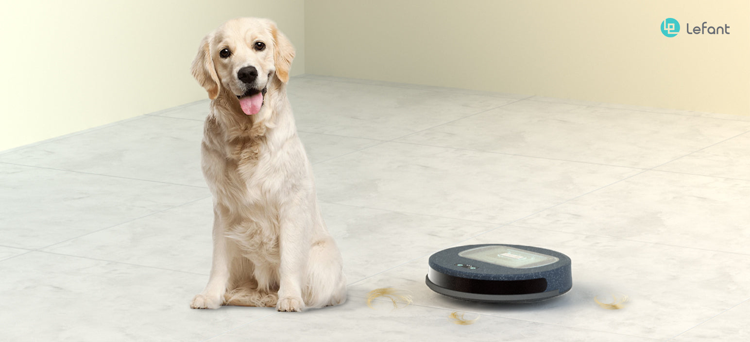 Come se la cava Lefant con i peli dei cani?